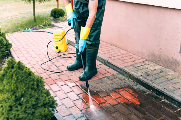 Best Building Exterior Washing  in Albany, GA
